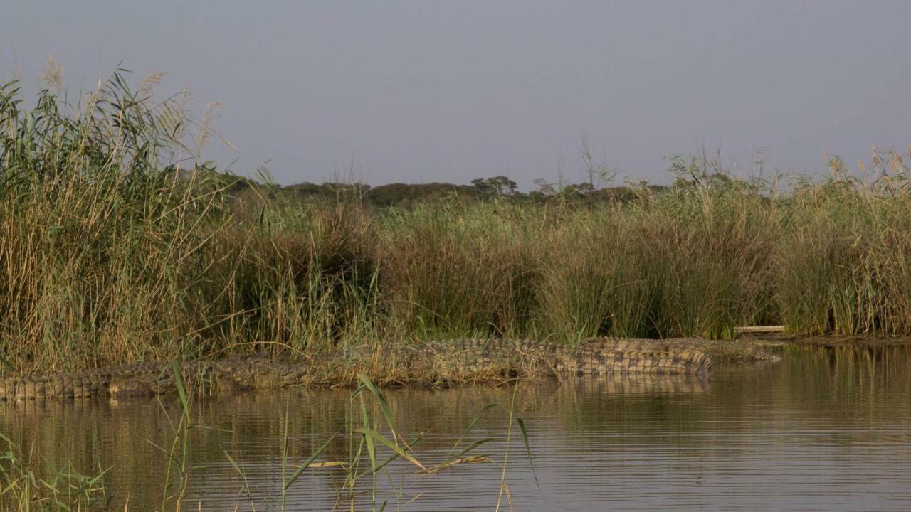 African Ambience Guest House Saint Lucia Estuary Exterior foto